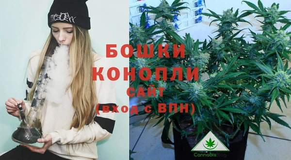 бутик Бородино