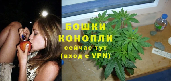 бошки Богданович