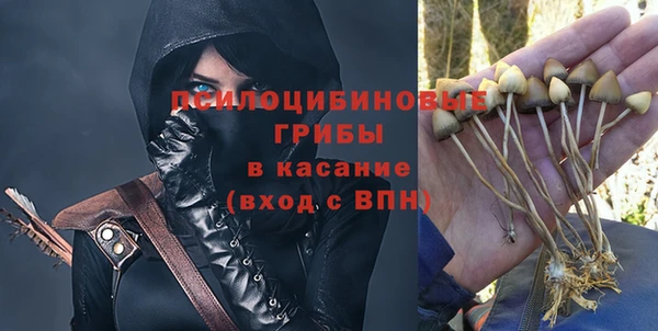 бошки Богданович