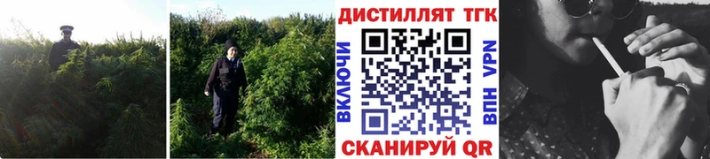 ТГК жижа  купить наркотик  Ессентукская 